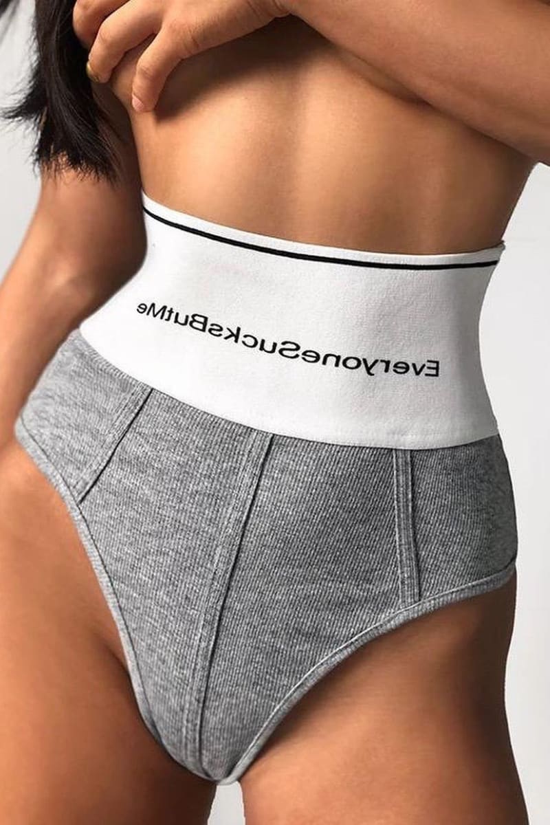 Grey High Waisted Brief Underwear